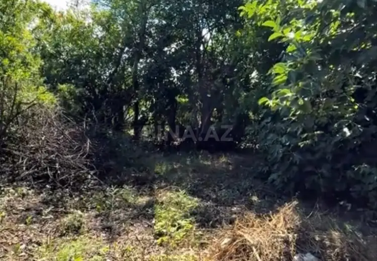 7 sot Torpaq Satılır, Bərdə