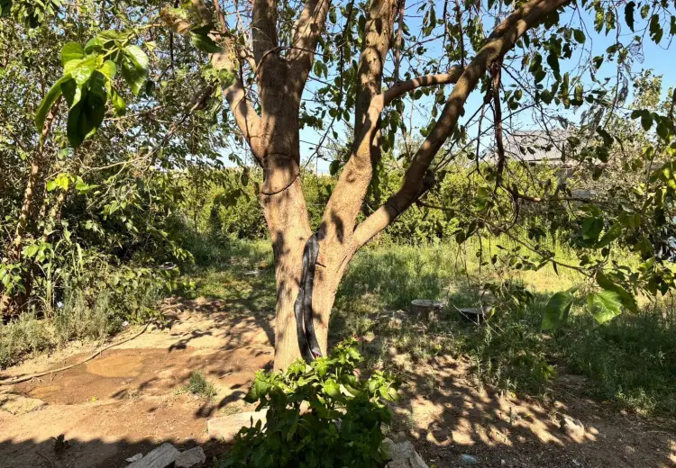 120 000 AZN - 5 otaqlı mənzil Satılır, Digah, Abşeron