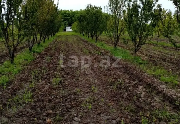 0 m² Obyekt / Ofis , Xaçmaz