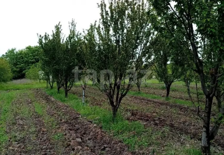 0 m² Obyekt / Ofis , Xaçmaz