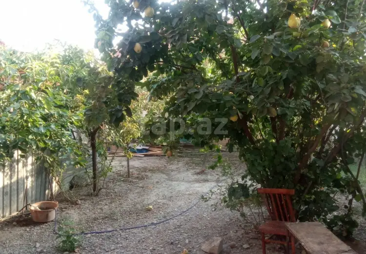 3 otaqlı mənzil , Mingəçevir