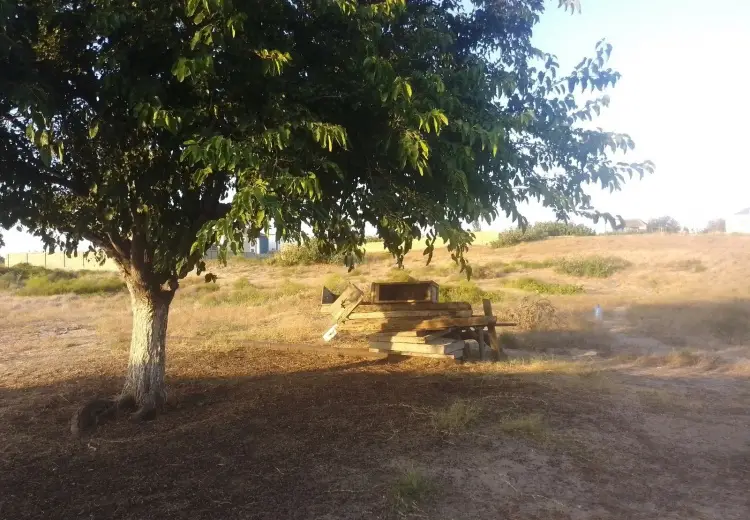 2 otaqlı mənzil Kirayə (aylıq), Kürdəxanı qəs., Sabunçu, Bakı