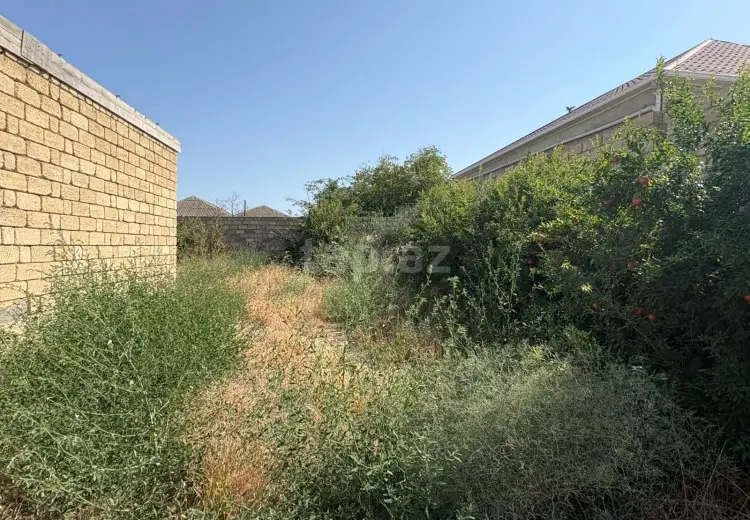 0 m² Obyekt / Ofis , Saray, Abşeron