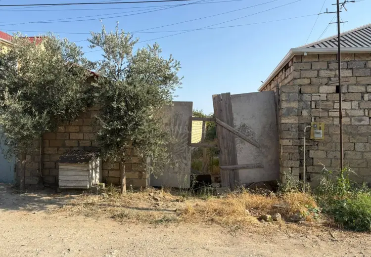 6.2 sot Torpaq Satılır, Saray, Abşeron