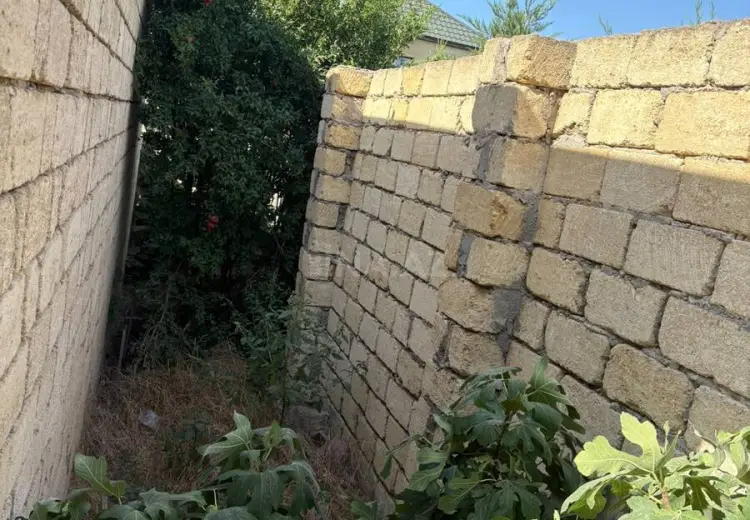 6.2 sot Torpaq Satılır, Saray, Abşeron