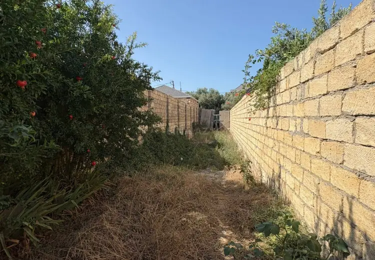 6.2 sot Torpaq Satılır, Saray, Abşeron