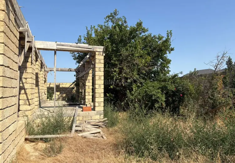 6.2 sot Torpaq Satılır, Saray, Abşeron