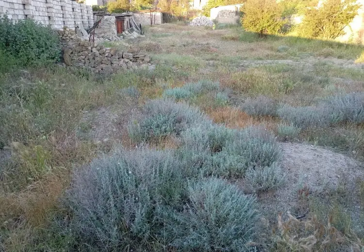 4 sot Torpaq Satılır, Pirallahı, Bakı