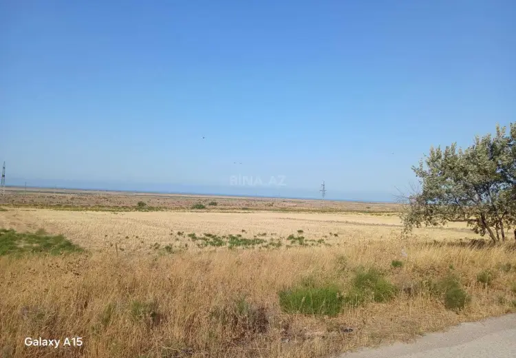 138 sot Torpaq Satılır, Şabran