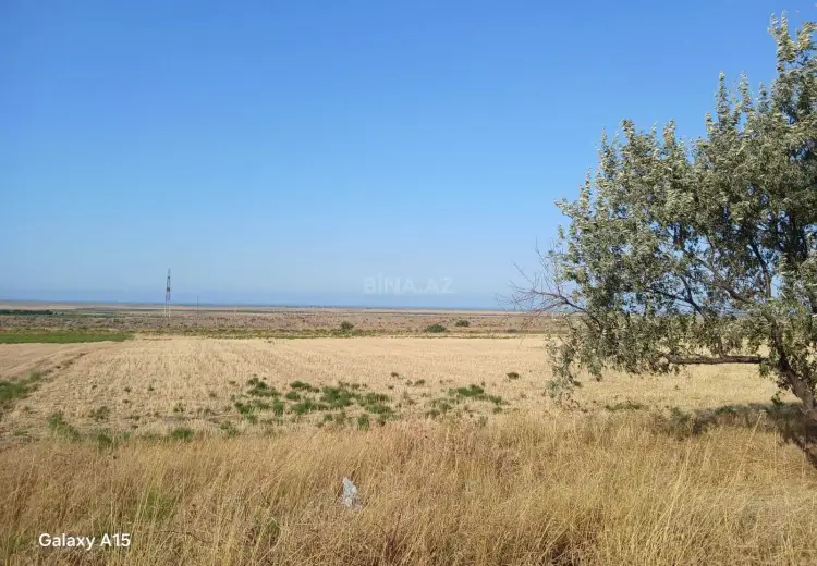138 sot Torpaq Satılır, Şabran