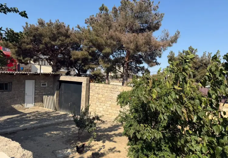 5 sot Torpaq Satılır, Biləcəri qəs., Binəqədi, Bakı