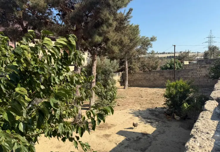 5 sot Torpaq Satılır, Biləcəri qəs., Binəqədi, Bakı
