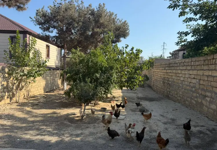 5 sot Torpaq Satılır, Biləcəri qəs., Binəqədi, Bakı