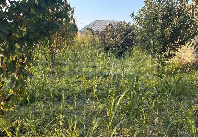 4 otaqlı mənzil , Xaçmaz