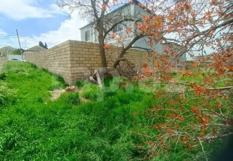 0 m² Obyekt / Ofis , Saray, Abşeron