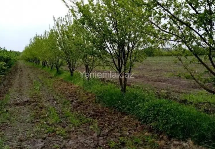 35 sot Torpaq Satılır, Xaçmaz