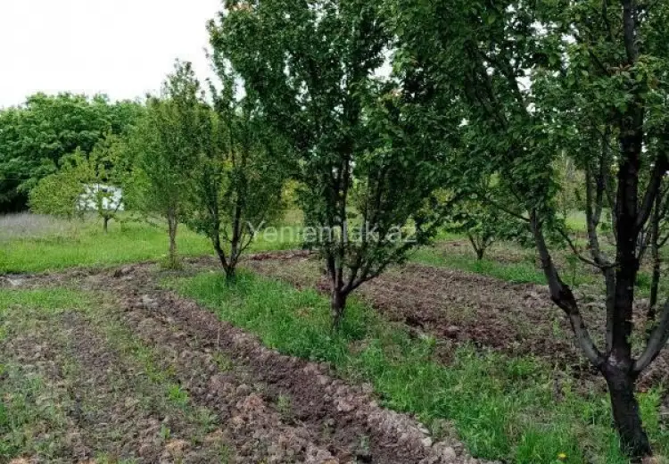 35 sot Torpaq Satılır, Xaçmaz