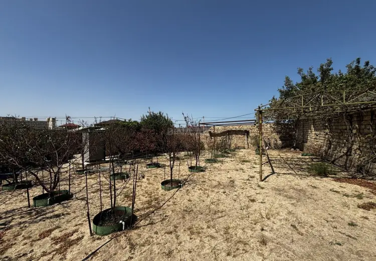 4 sot Torpaq Satılır, Novxanı, Abşeron