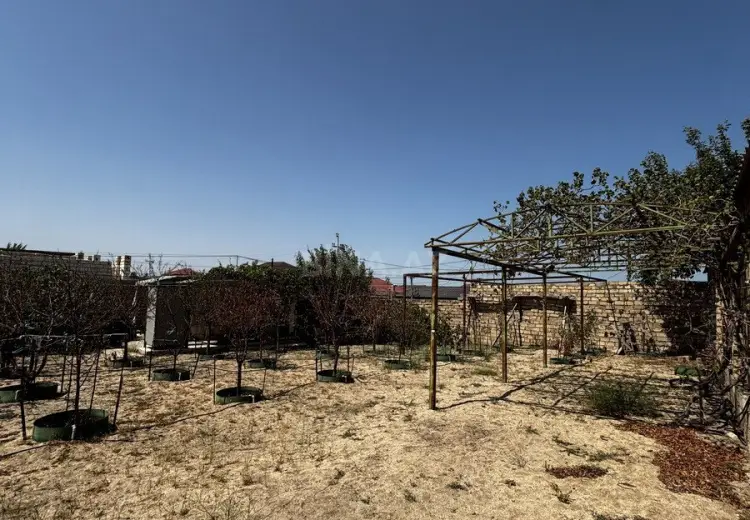 4 sot Torpaq Satılır, Novxanı, Abşeron