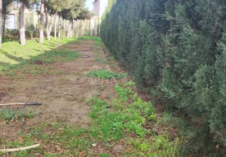 6 sot Torpaq Satılır, Mərdəkan, Xəzər, Bakı