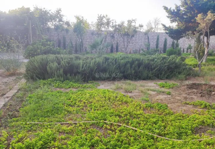 6 sot Torpaq Satılır, Mərdəkan, Xəzər, Bakı