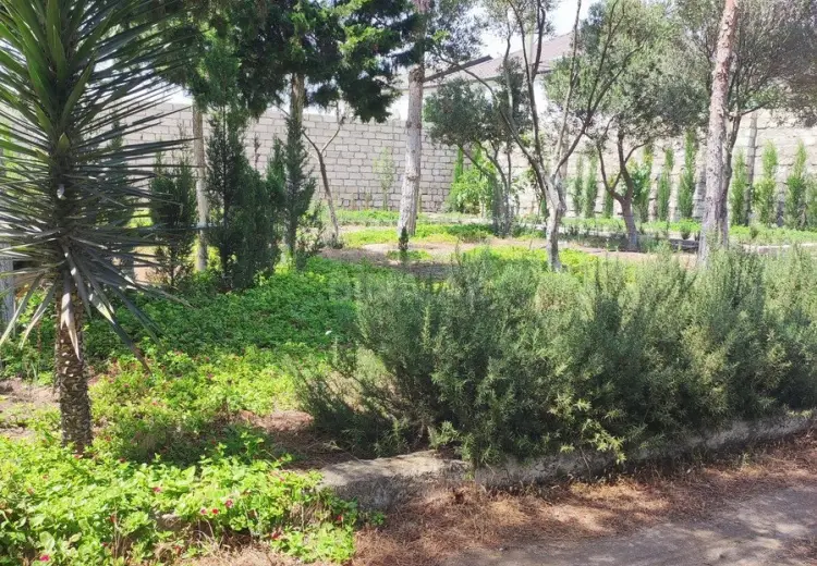6 sot Torpaq Satılır, Mərdəkan, Xəzər, Bakı