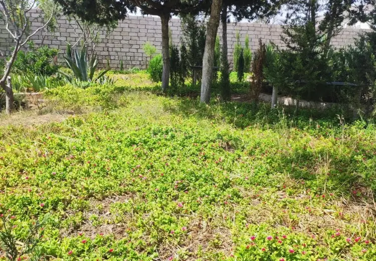 6 sot Torpaq Satılır, Mərdəkan, Xəzər, Bakı
