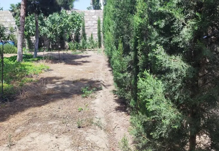 6 sot Torpaq Satılır, Mərdəkan, Xəzər, Bakı