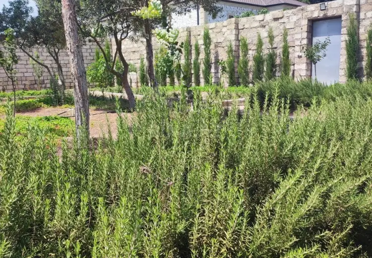 6 sot Torpaq Satılır, Mərdəkan, Xəzər, Bakı