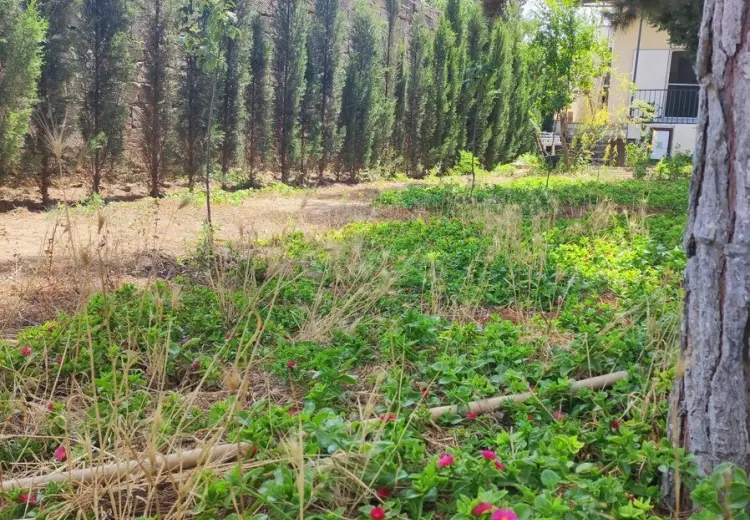 6 sot Torpaq Satılır, Mərdəkan, Xəzər, Bakı