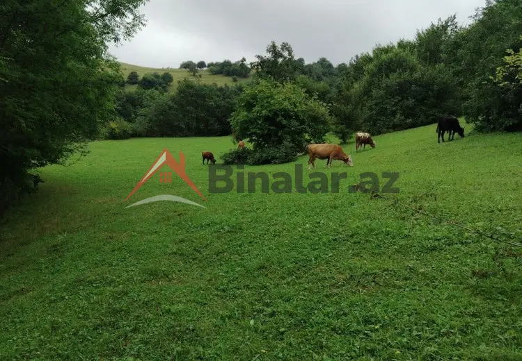 21 sot Torpaq Satılır, Qusar
