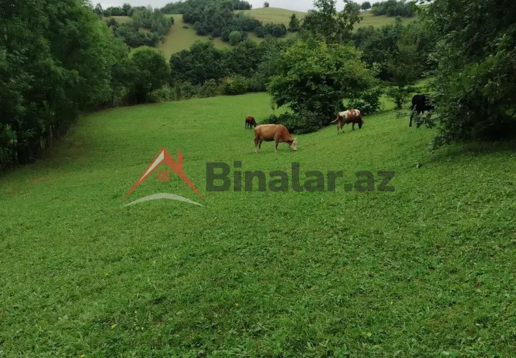 21 sot Torpaq Satılır, Qusar