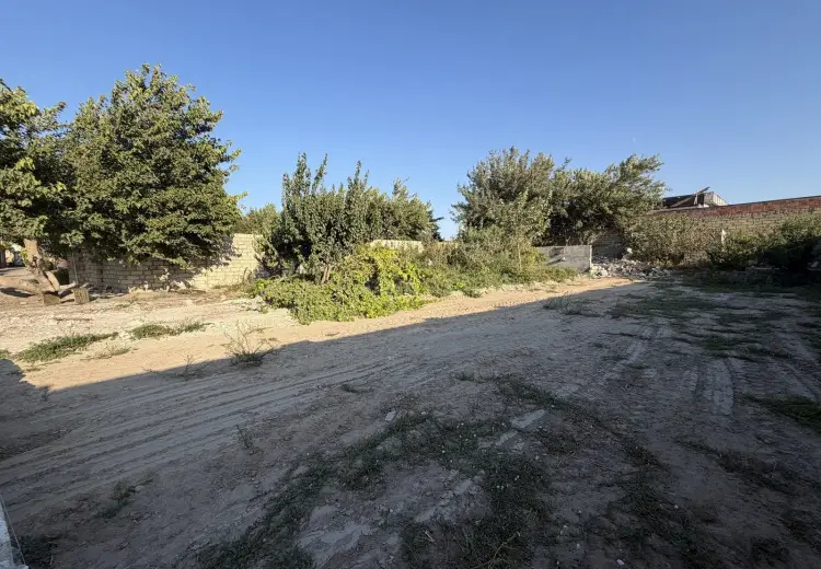 7.5 sot Torpaq Satılır, Bilgəh qəs., Sabunçu, Bakı