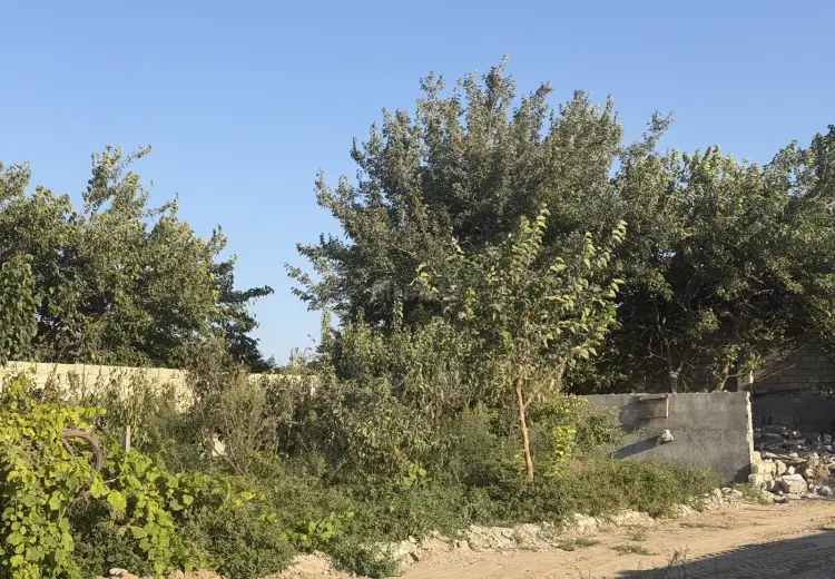 7.5 sot Torpaq Satılır, Bilgəh qəs., Sabunçu, Bakı