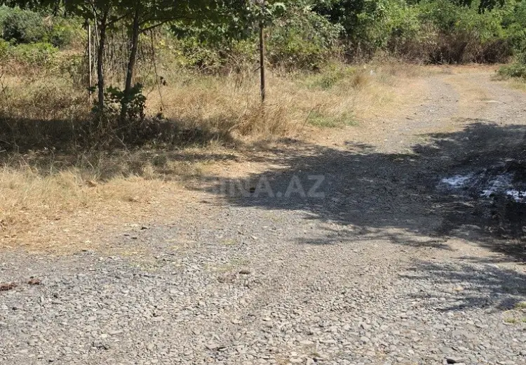 40 sot Torpaq Satılır, Oğuz