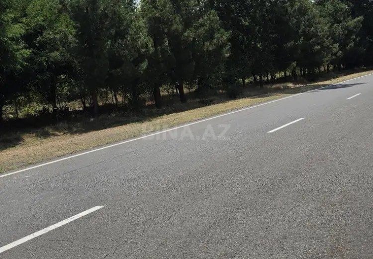 40 sot Torpaq Satılır, Oğuz