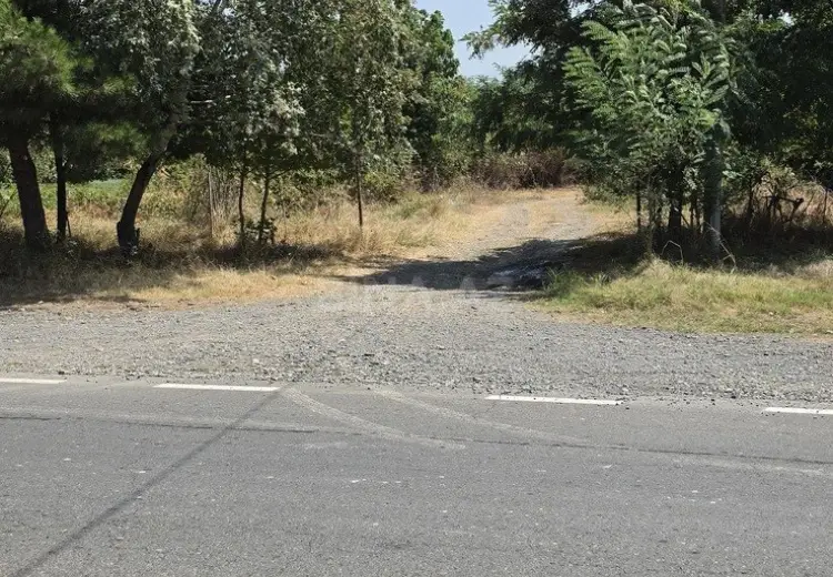 40 sot Torpaq Satılır, Oğuz
