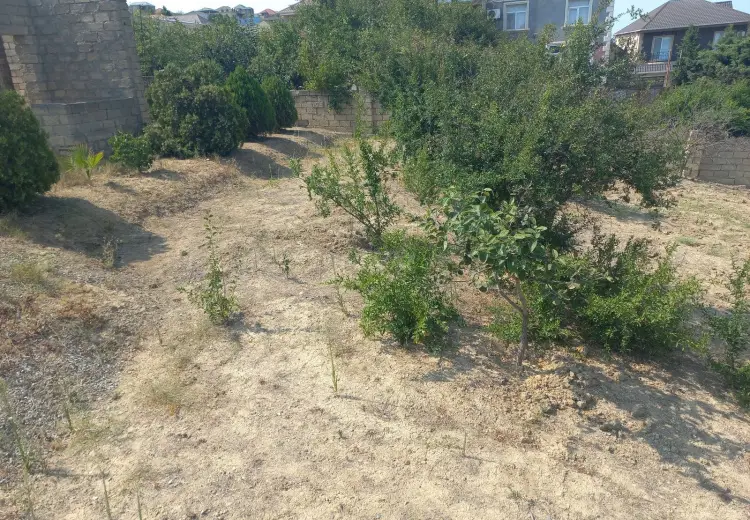 10 sot Torpaq Satılır, Fatmayı, Abşeron
