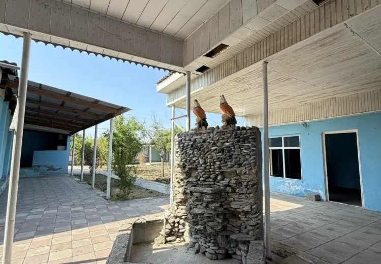 1200 m² Obyekt / Ofis Satılır, Beyləqan