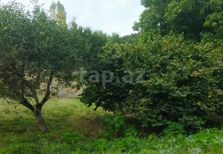 0 m² Obyekt / Ofis , İsmayıllı