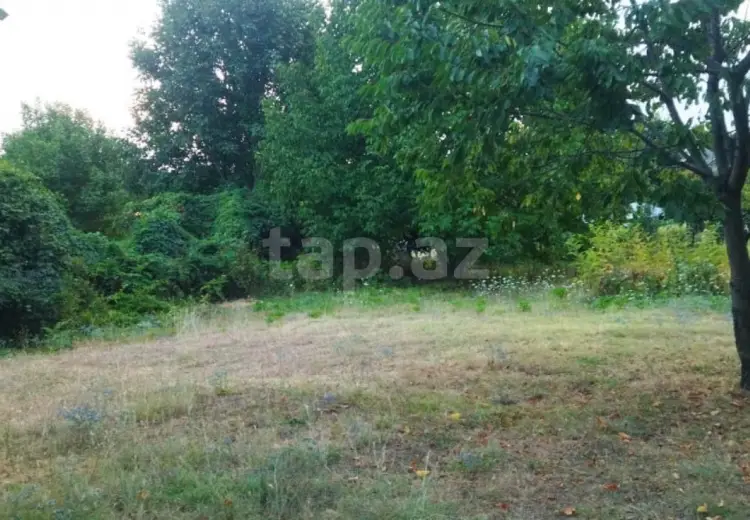 0 m² Obyekt / Ofis , İsmayıllı