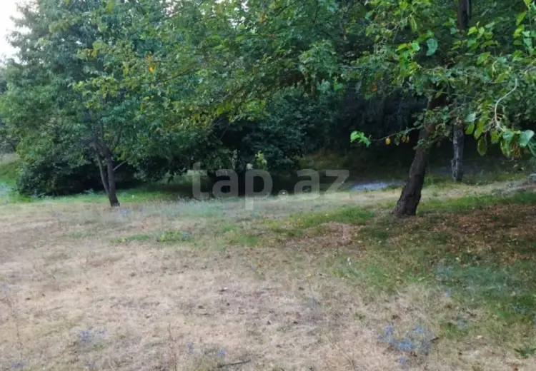0 m² Obyekt / Ofis , İsmayıllı