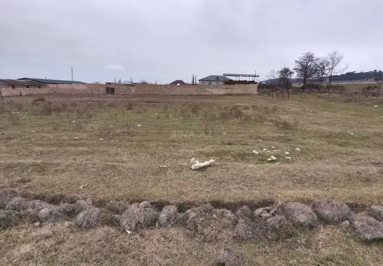 8 sot Torpaq Satılır, Şabran