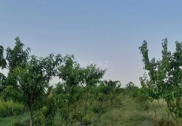 27 sot Torpaq Satılır, Şəmkir