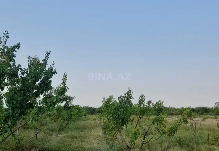 27 sot Torpaq Satılır, Şəmkir
