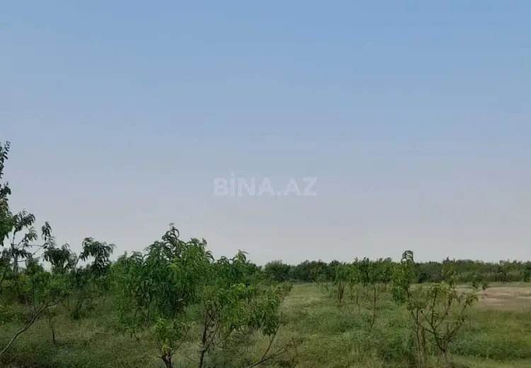 27 sot Torpaq Satılır, Şəmkir