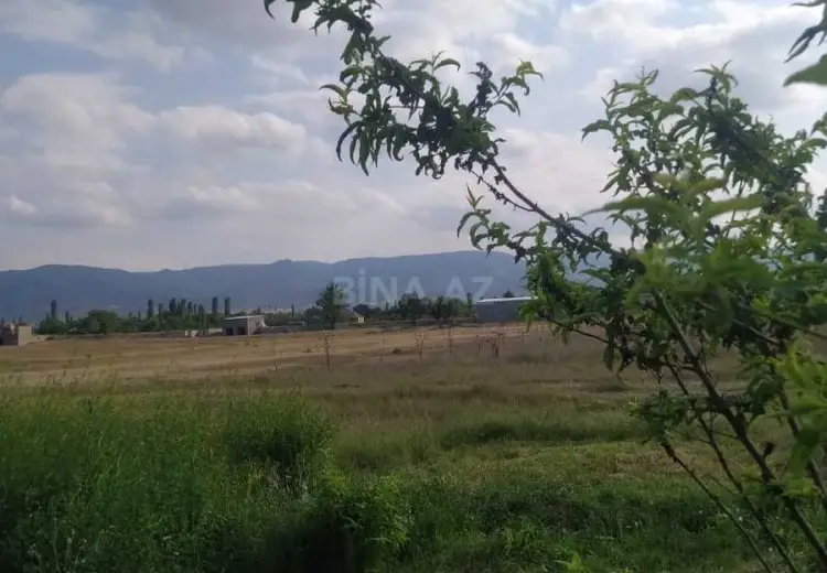 27 sot Torpaq Satılır, Şəmkir
