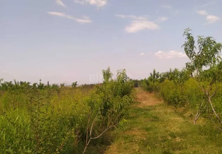 27 sot Torpaq Satılır, Şəmkir