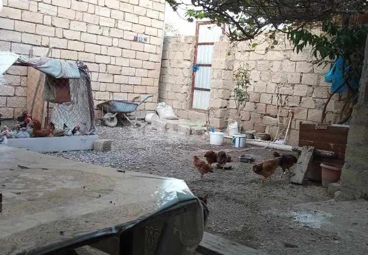 1 otaqlı mənzil , Bakı