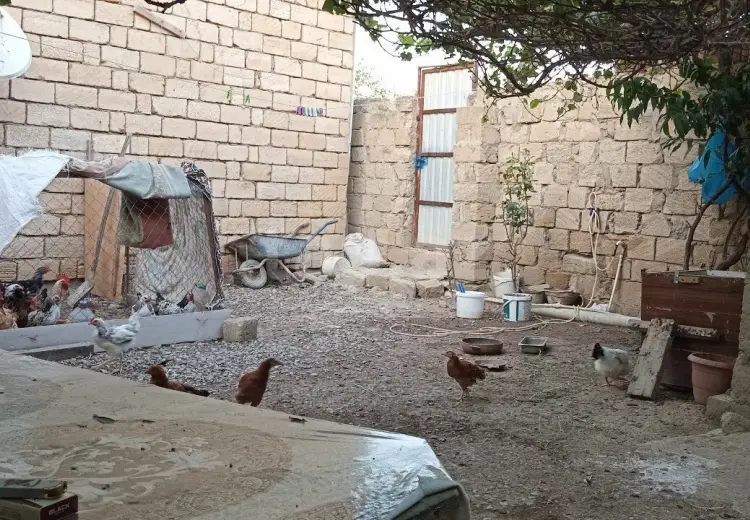 1 otaqlı mənzil , Bakı
